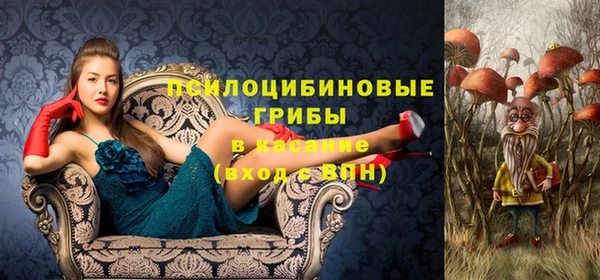 скорость Дмитриев