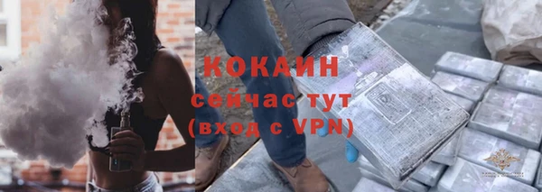 сатива Дмитров