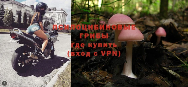 сатива Дмитров