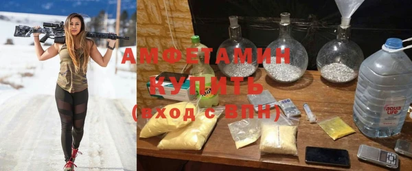 сатива Дмитров