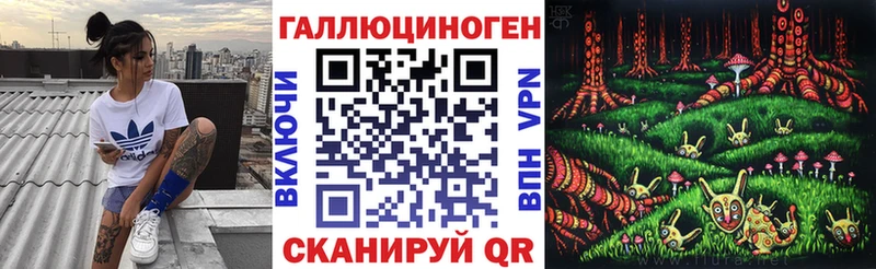 Купить где  Инсар  Галлюциногенные грибы Psilocybe 